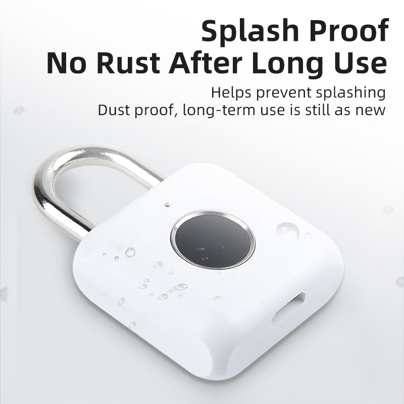 Mini Biometric Fingerprint Padlock