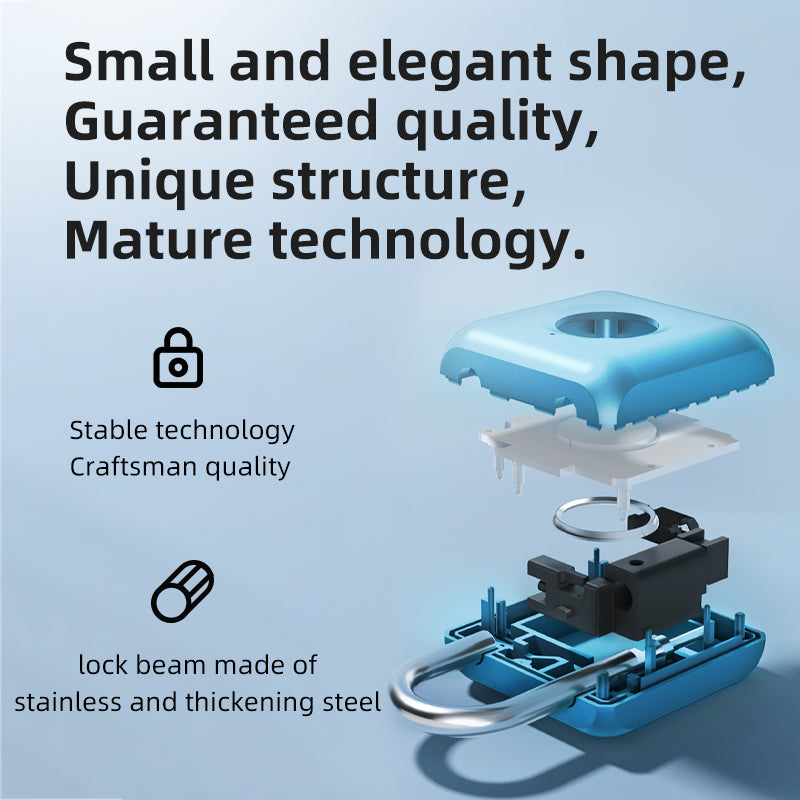 Mini Biometric Fingerprint Padlock