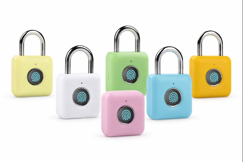 Mini Biometric Fingerprint Padlock