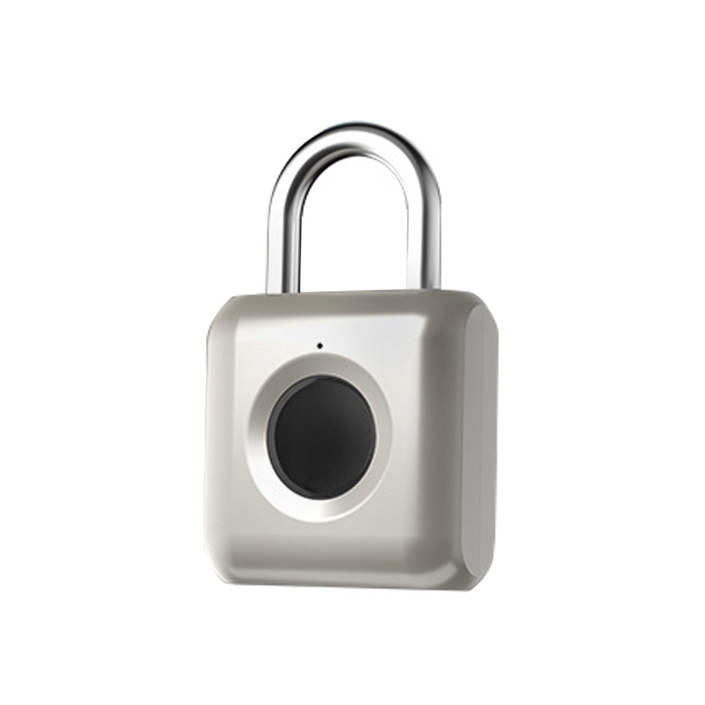 Mini Biometric Fingerprint Padlock