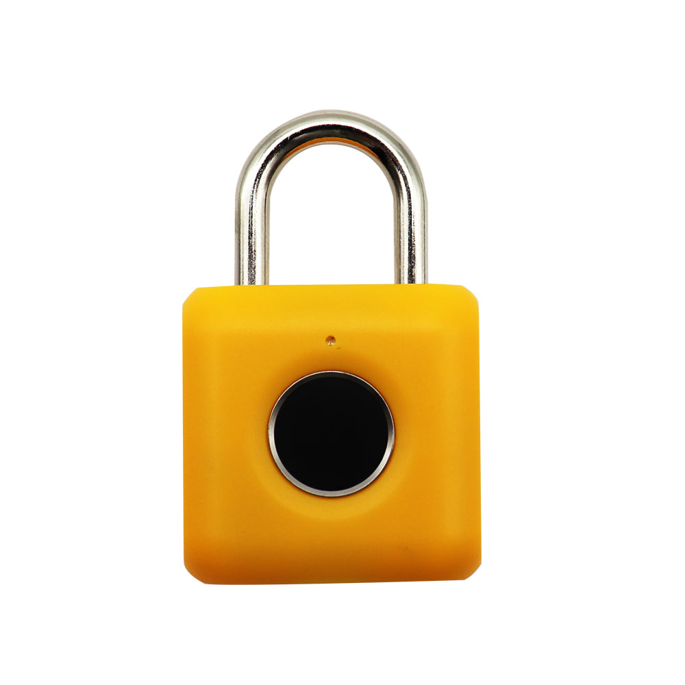 Mini Biometric Fingerprint Padlock